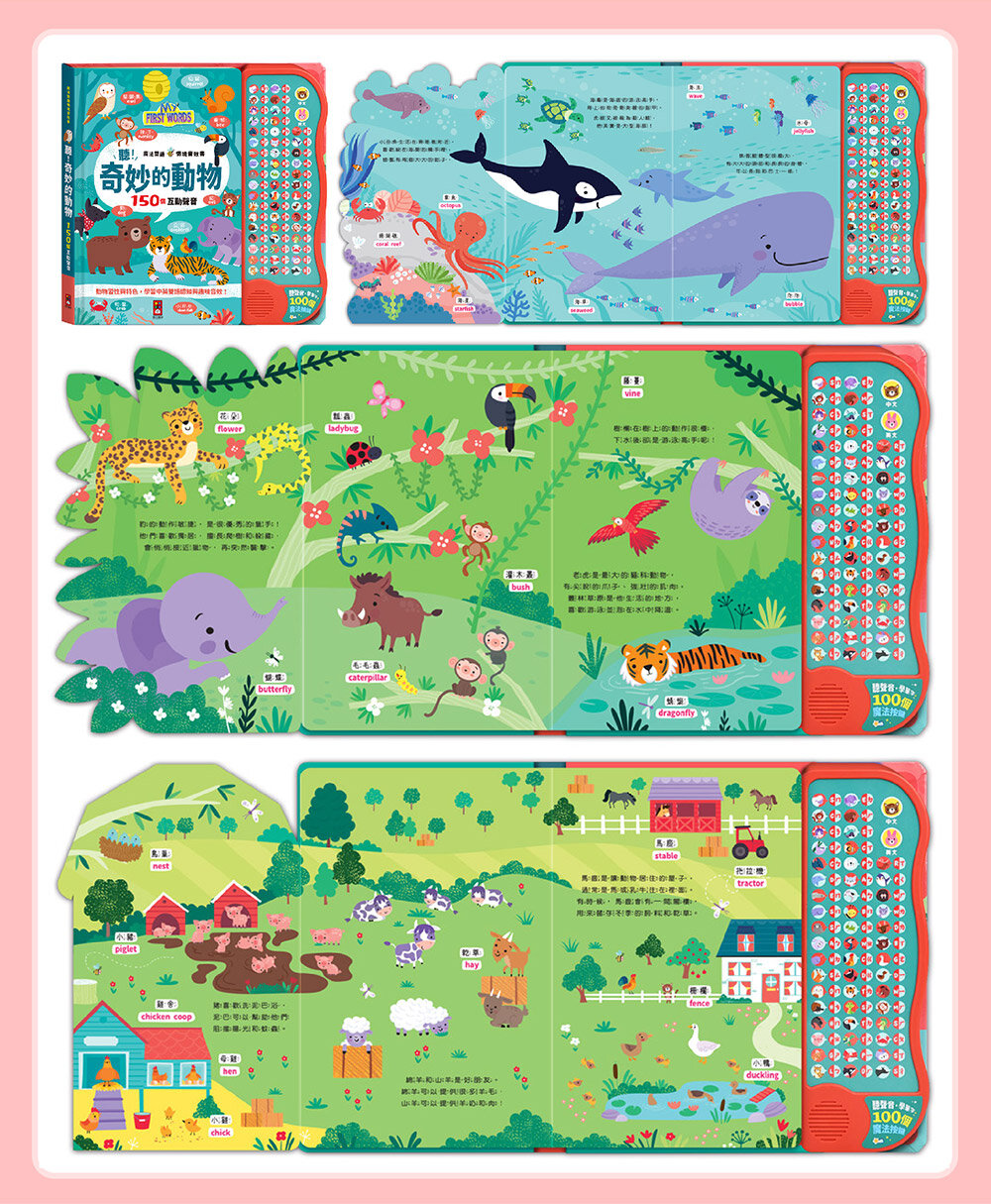 媽媽買 魔法雙語情境音效書 風車寶貝 中英雙語學習 語言啟蒙工具書 親子共讀推薦 找找看 遊戲書 音效書-圖片-17