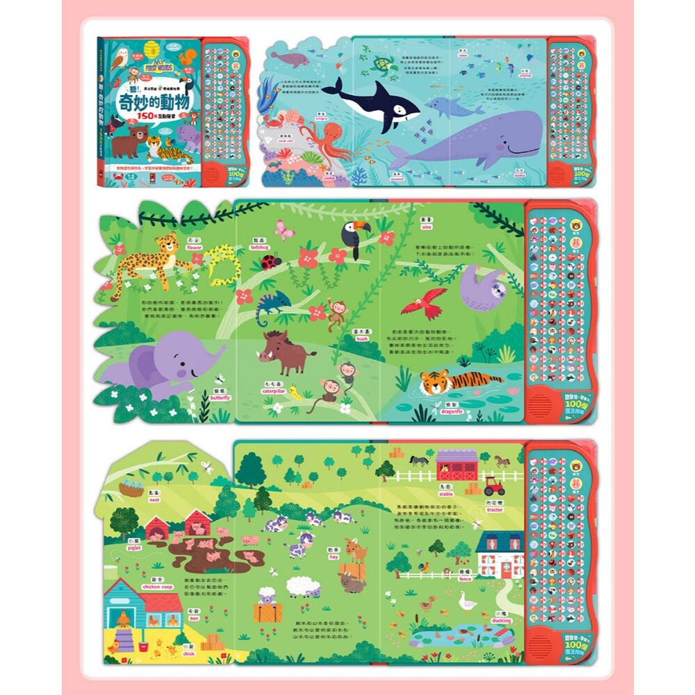 媽媽買 魔法雙語情境音效書 風車寶貝 中英雙語學習 語言啟蒙工具書 親子共讀推薦 找找看 遊戲書 音效書-圖片-8