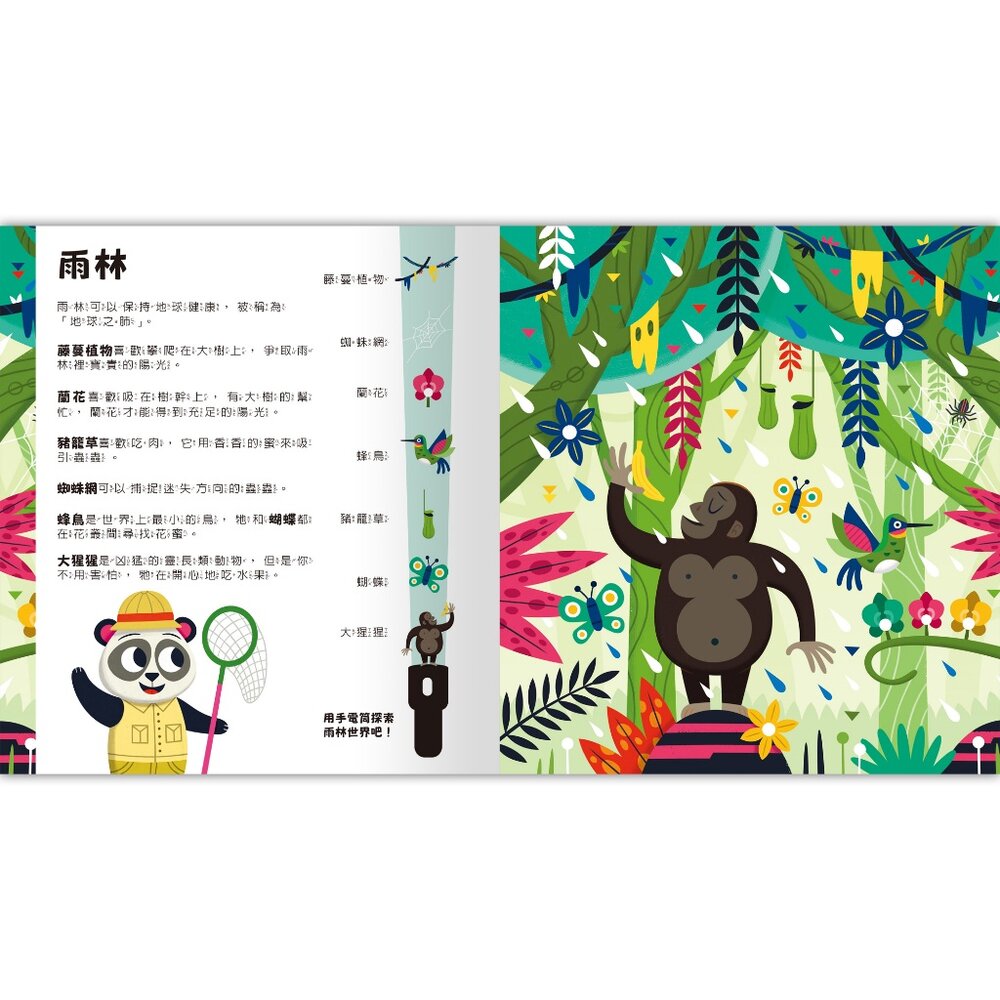 媽媽買 Spotlight!夜遊探險書 禾流文創 互動式童書 手電筒書 夜遊探險 兒童啟蒙書 找找看遊戲-圖片-1