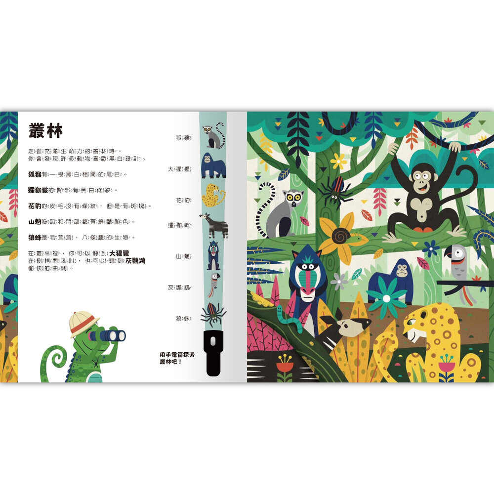 媽媽買 Spotlight!夜遊探險書 禾流文創 互動式童書 手電筒書 夜遊探險 兒童啟蒙書 找找看遊戲-圖片-5