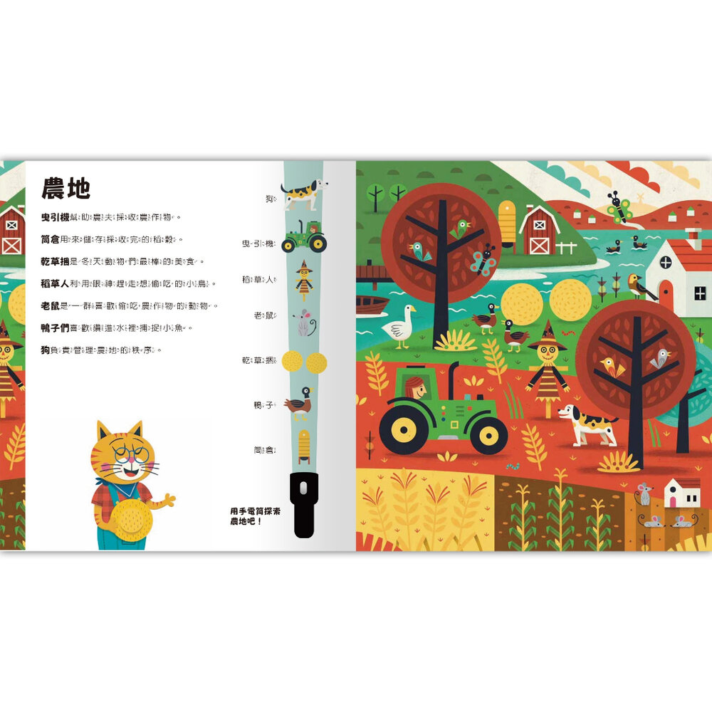 媽媽買 Spotlight!夜遊探險書 禾流文創 互動式童書 手電筒書 夜遊探險 兒童啟蒙書 找找看遊戲-圖片-7