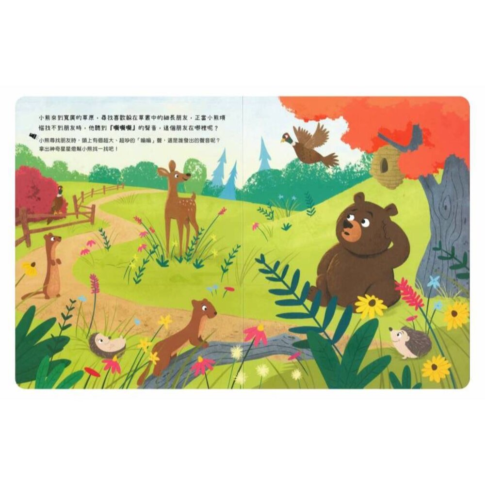 媽媽買 神奇星星燈 禾流文創 互動式遊戲書 探索遊戲 UV燈童書 觀察力培養 探索遊戲-圖片-7