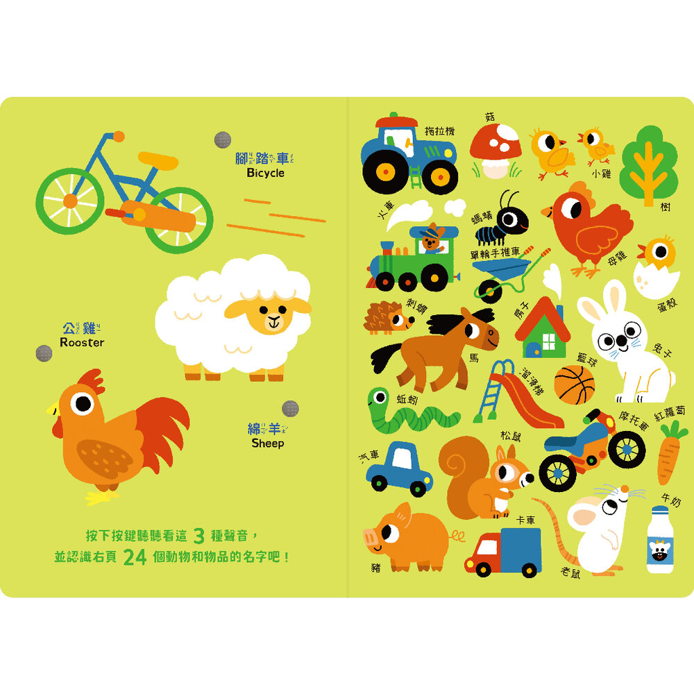 媽媽買 寶寶認知有聲書-認識很多很多東西 禾流文創 兒童有聲書 啟蒙認知 幼兒啟蒙 學前教育-圖片-2