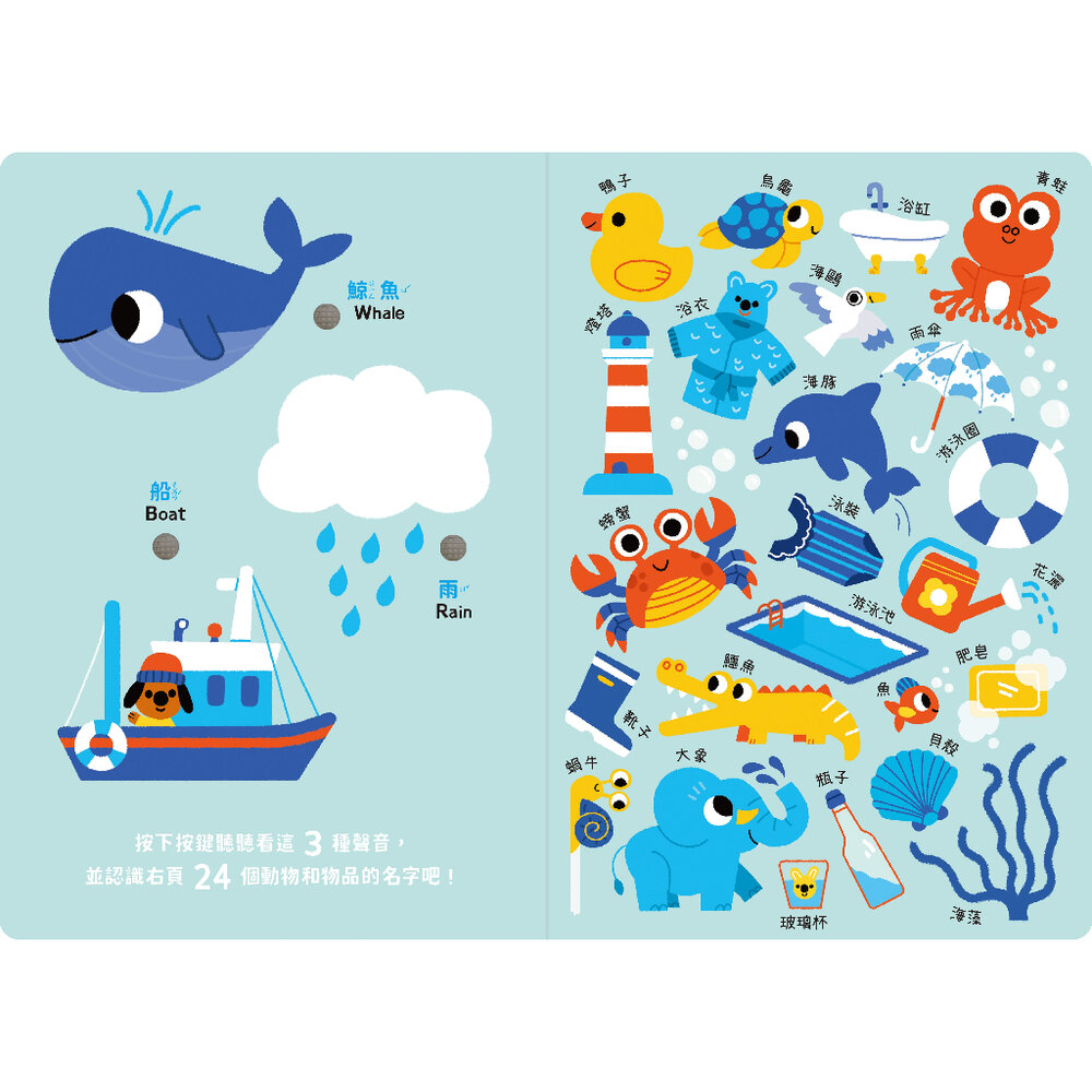 媽媽買 寶寶認知有聲書-認識很多很多東西 禾流文創 兒童有聲書 啟蒙認知 幼兒啟蒙 學前教育-圖片-3