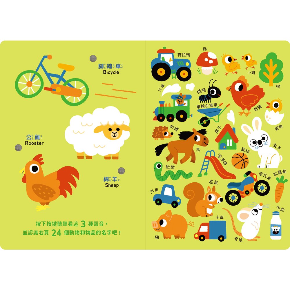 媽媽買 寶寶認知有聲書-認識很多很多東西 禾流文創 兒童有聲書 啟蒙認知 幼兒啟蒙 學前教育-圖片-5