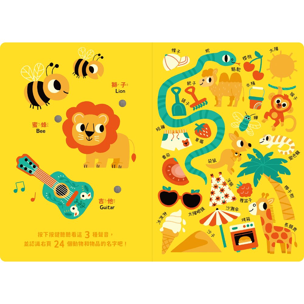 媽媽買 寶寶認知有聲書-認識很多很多東西 禾流文創 兒童有聲書 啟蒙認知 幼兒啟蒙 學前教育-圖片-6