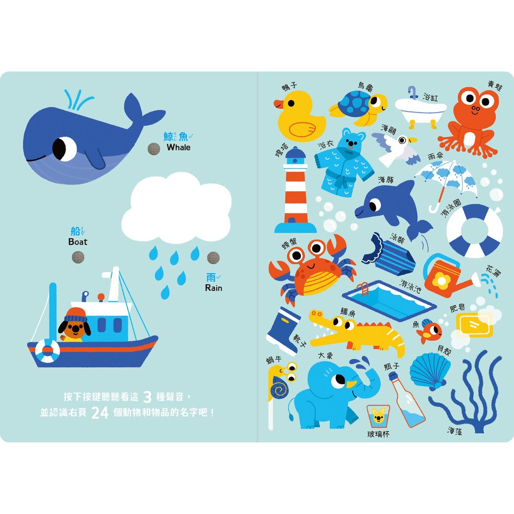 媽媽買 寶寶認知有聲書-認識很多很多東西 禾流文創 兒童有聲書 啟蒙認知 幼兒啟蒙 學前教育-圖片-7