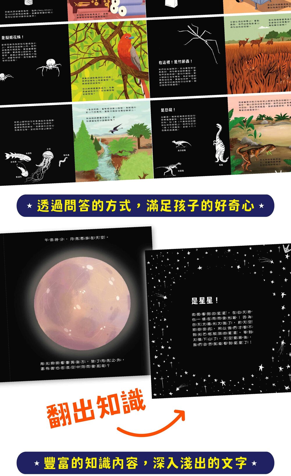 媽媽買 登登登!透光Show 禾流文創 兒童光影互動繪本 親子共讀 科普啟蒙 光影遊戲書 科普知識-圖片-11