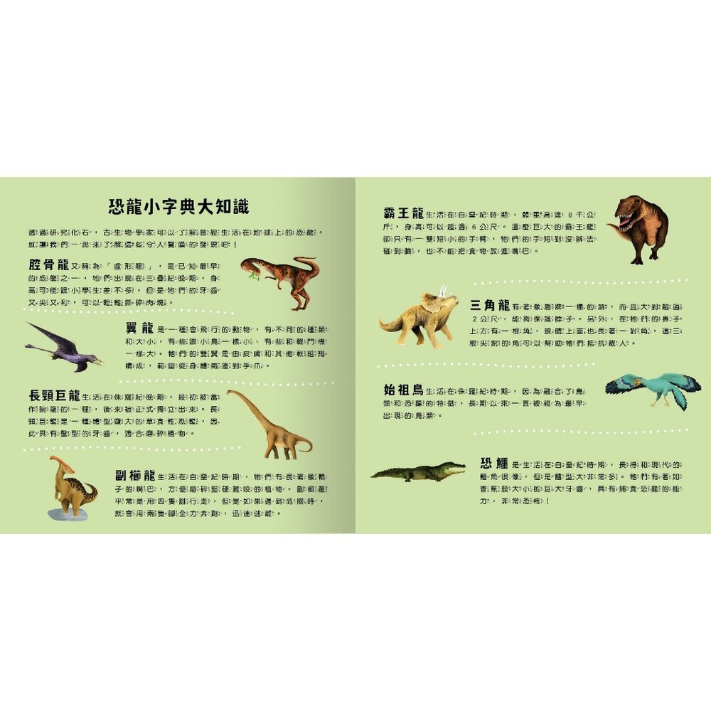 媽媽買 登登登!透光Show 禾流文創 兒童光影互動繪本 親子共讀 科普啟蒙 光影遊戲書 科普知識-圖片-2