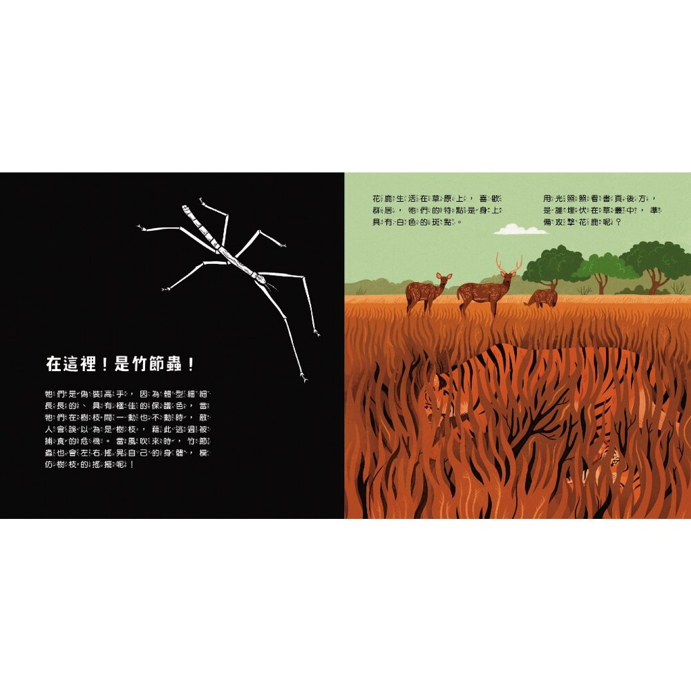 媽媽買 登登登!透光Show 禾流文創 兒童光影互動繪本 親子共讀 科普啟蒙 光影遊戲書 科普知識-圖片-3