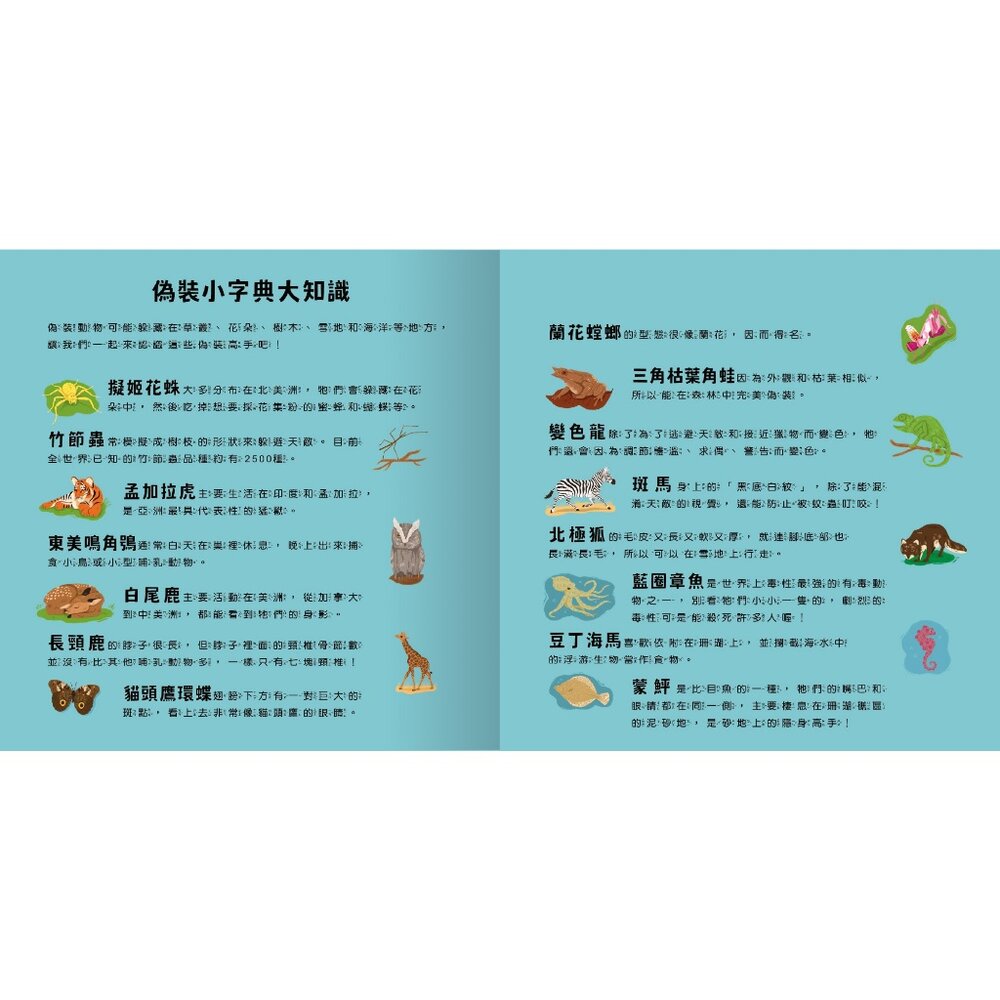 媽媽買 登登登!透光Show 禾流文創 兒童光影互動繪本 親子共讀 科普啟蒙 光影遊戲書 科普知識-圖片-4