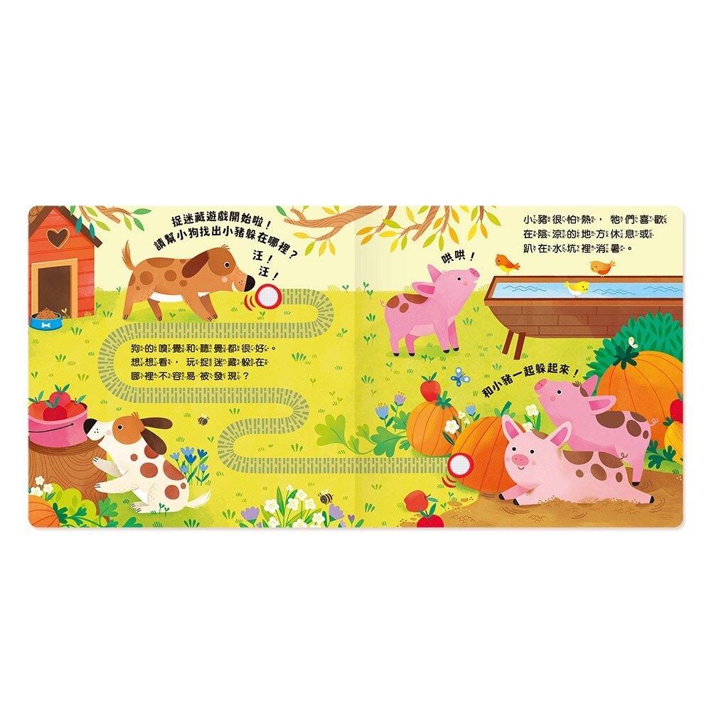 媽媽買 農場嘰哩咕嚕  華碩文化 Follow Me摸摸觸感有聲書 親子共讀 感官啟蒙 幼兒玩具 有聲書 繪本-圖片-2