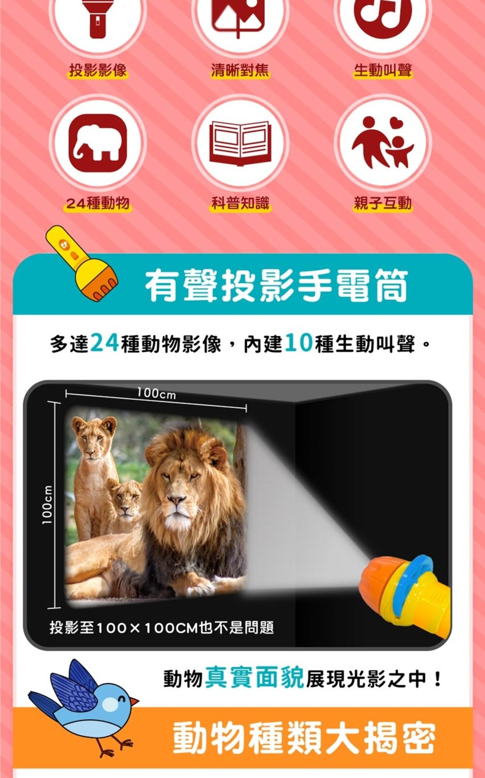 媽媽買 有聲投影手電筒 華碩文化 小百科 繪本 童書 投影手電筒 吼~吼~ 恐龍來了 前進動物王國 厚紙書-圖片-16