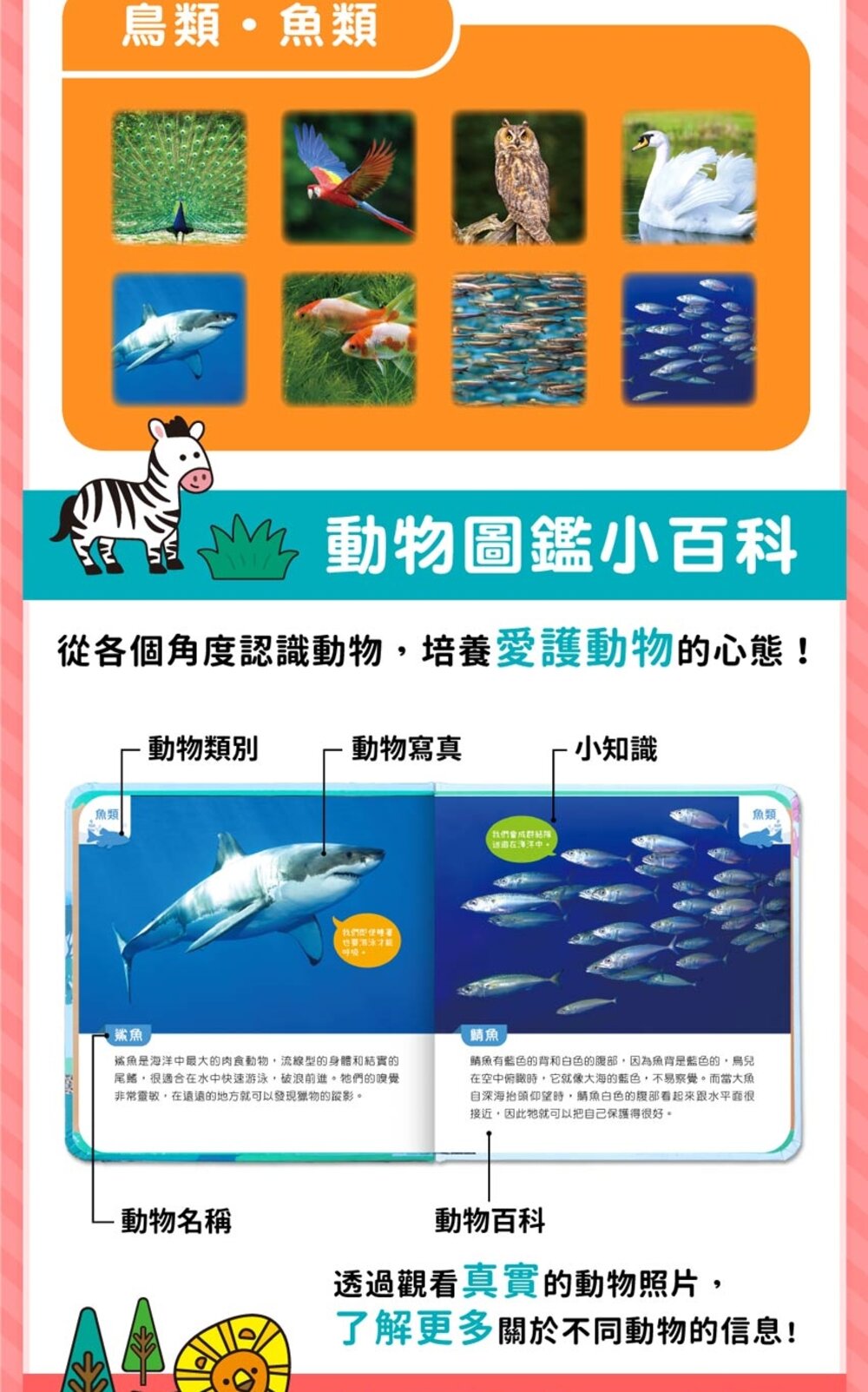 媽媽買 有聲投影手電筒 華碩文化 小百科 繪本 童書 投影手電筒 吼~吼~ 恐龍來了 前進動物王國 厚紙書-圖片-18