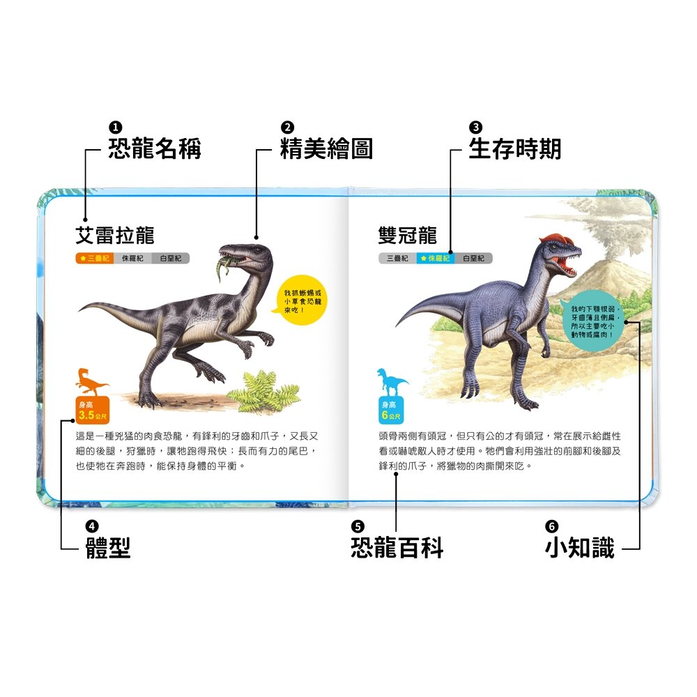 媽媽買 有聲投影手電筒 華碩文化 小百科 繪本 童書 投影手電筒 吼~吼~ 恐龍來了 前進動物王國 厚紙書-圖片-7