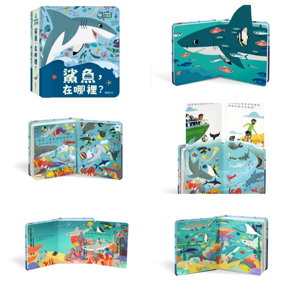 媽媽買 秒懂圖解方塊書 華碩文化 方塊書 厚紙書 遊戲書 翻翻書 繪本 童書-圖片-10