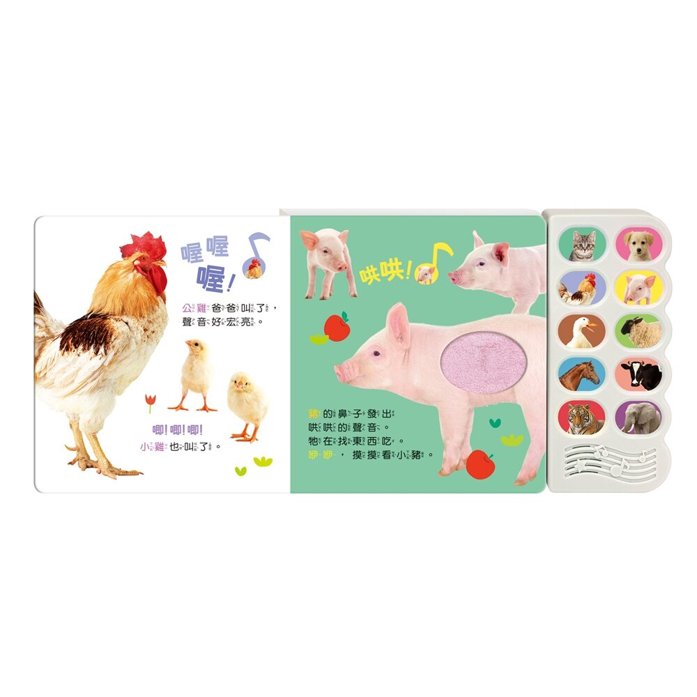 媽媽買 汪汪,認識小狗和牠的朋友 華碩文化 有聲書 觸摸書-圖片-2