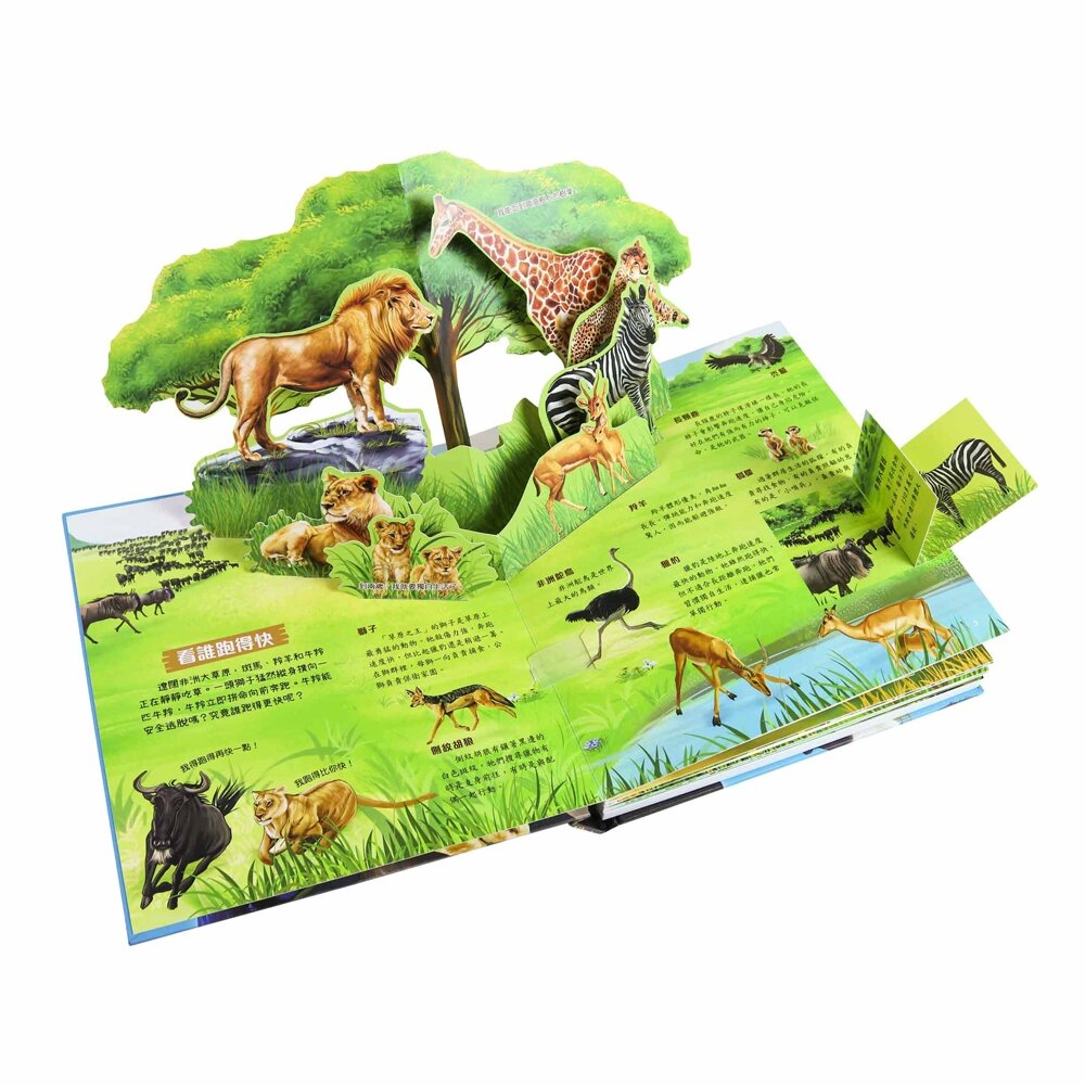 媽媽買 3D立體有聲書 華碩文化 有聲書 厚紙書 立體書-圖片-1