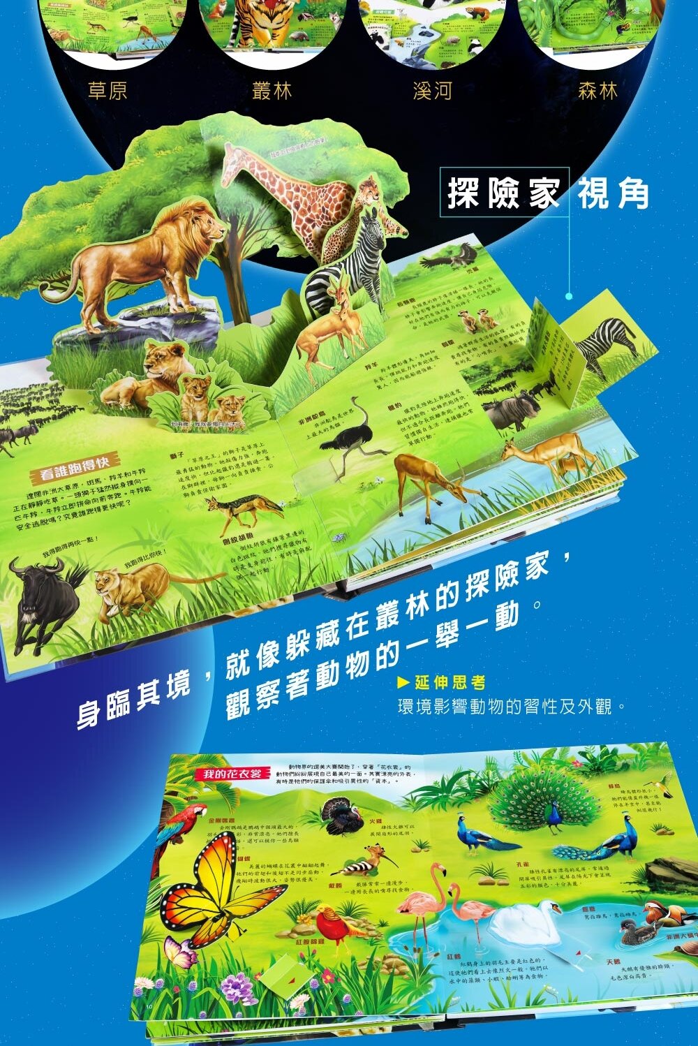 媽媽買 3D立體有聲書 華碩文化 有聲書 厚紙書 立體書-圖片-10