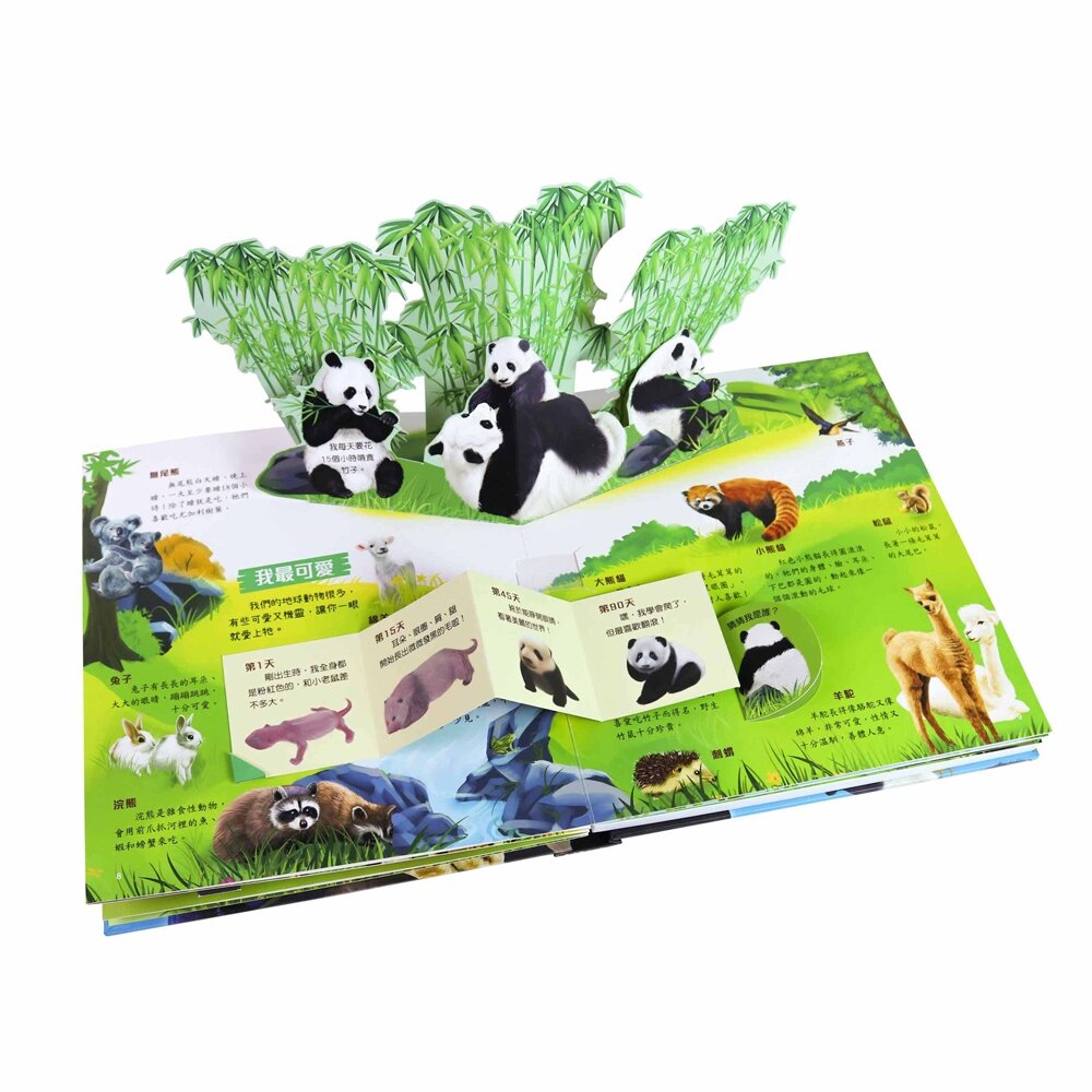 媽媽買 3D立體有聲書 華碩文化 有聲書 厚紙書 立體書-圖片-3