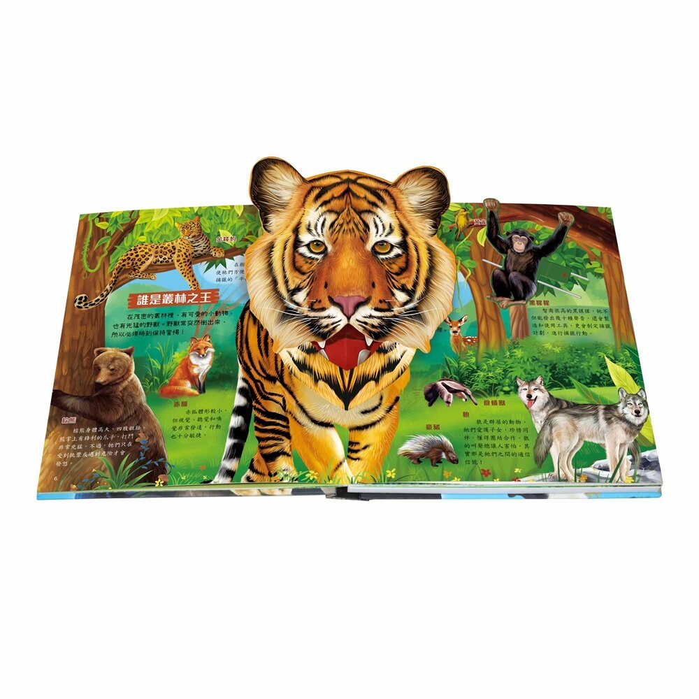 媽媽買 3D立體有聲書 華碩文化 有聲書 厚紙書 立體書-圖片-4