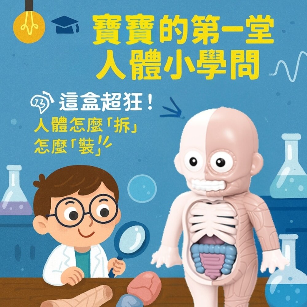 媽媽買 人體器官模型 樂彩森林 兒童科學玩具 STEAM玩具 五歲玩具推薦 人體結構教具 可拆解教具-圖片-3