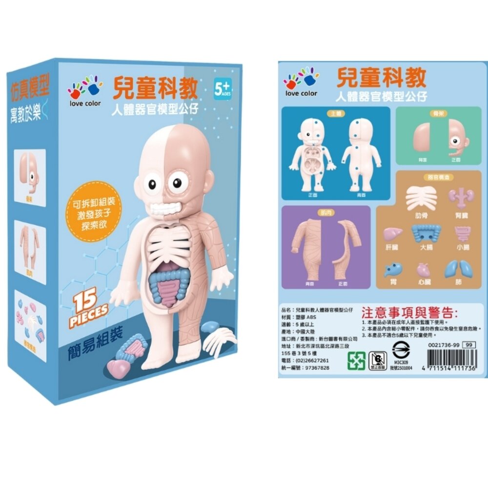 媽媽買 人體器官模型 樂彩森林 兒童科學玩具 STEAM玩具 五歲玩具推薦 人體結構教具 可拆解教具-圖片-5