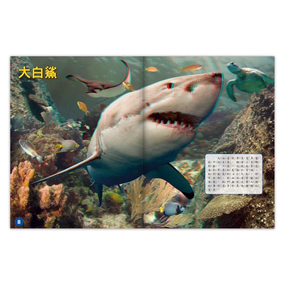 媽媽買 3D立體書 風車寶貝 擬真互動書 恐龍認知書 海洋知識書 手眼協調訓練 視覺感知發展-圖片-5