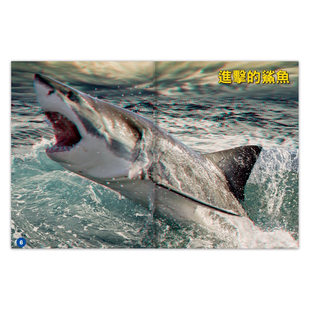 媽媽買 3D立體書 風車寶貝 擬真互動書 恐龍認知書 海洋知識書 手眼協調訓練 視覺感知發展-圖片-6