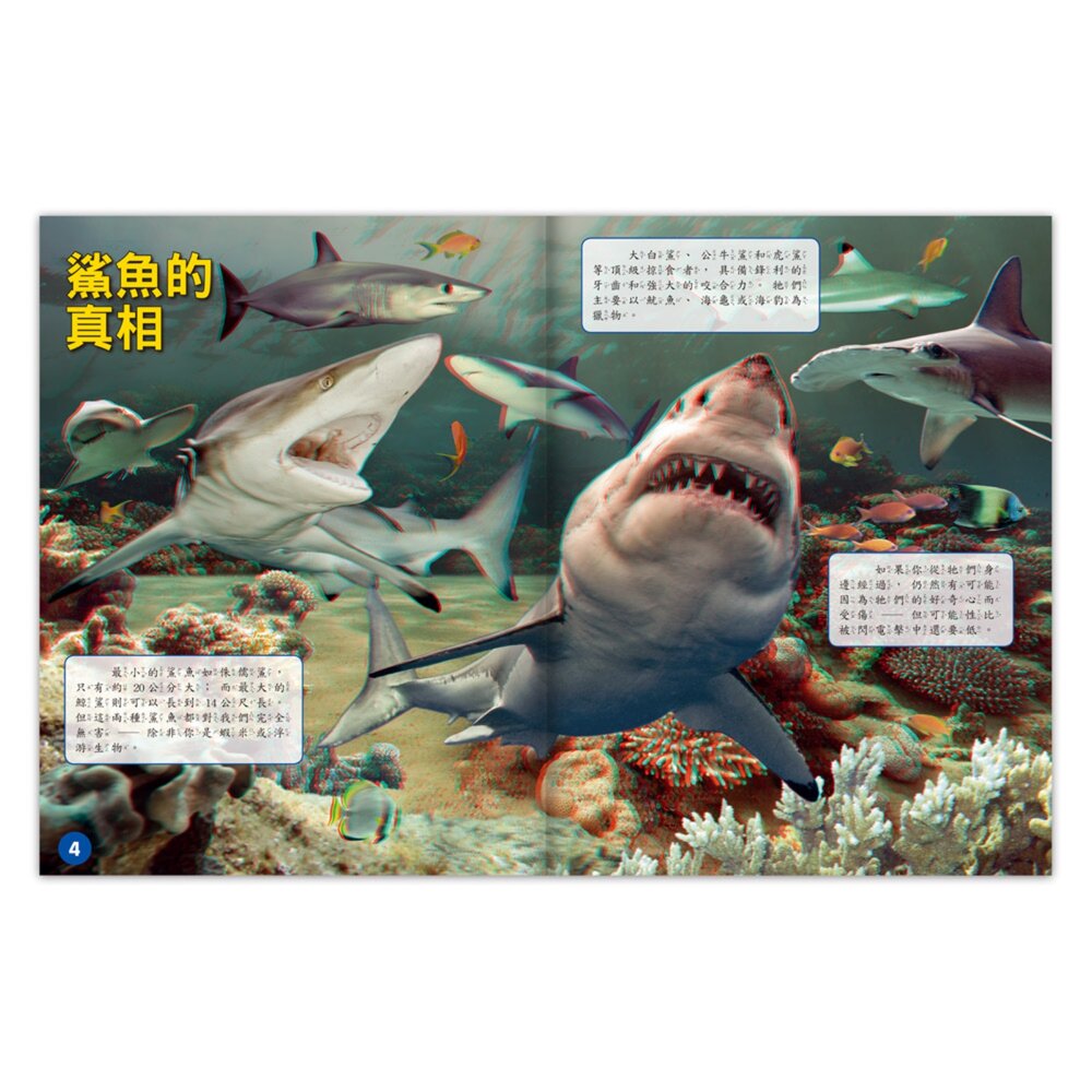 媽媽買 3D立體書 風車寶貝 擬真互動書 恐龍認知書 海洋知識書 手眼協調訓練 視覺感知發展-圖片-7