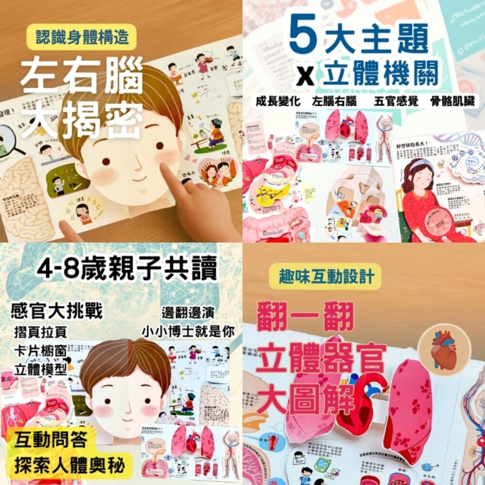 媽媽買 知識立體翻翻書 禾流文創 知識立體書 互動書 兒童安全教育 兒童身體百科 幼兒護眼書 立體翻翻書-圖片-5