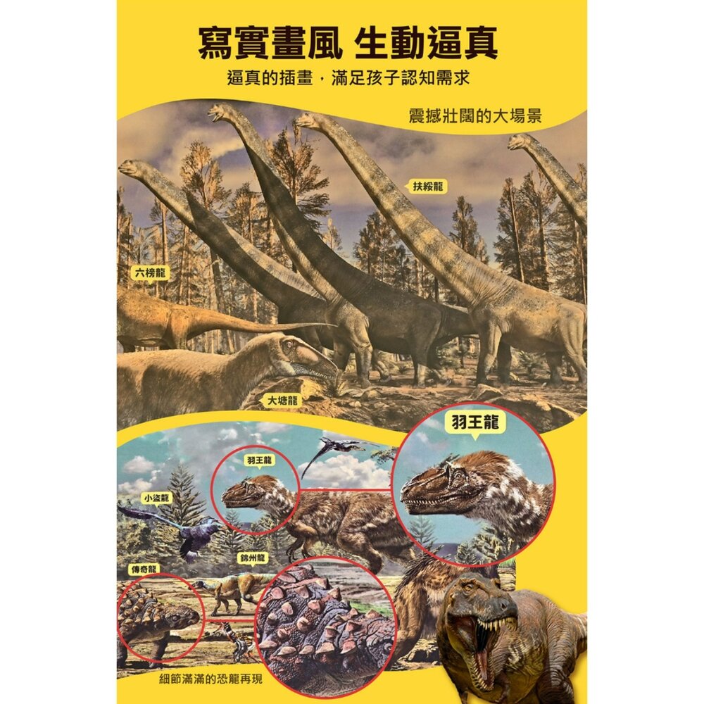 媽媽買 PNSO百科拼圖 風車圖書 恐龍拼圖書 翼龍拼圖 PNSO恐龍 恐龍百科拼圖 翼龍知識拼圖 恐龍益智拼圖書 兒童-圖片-3