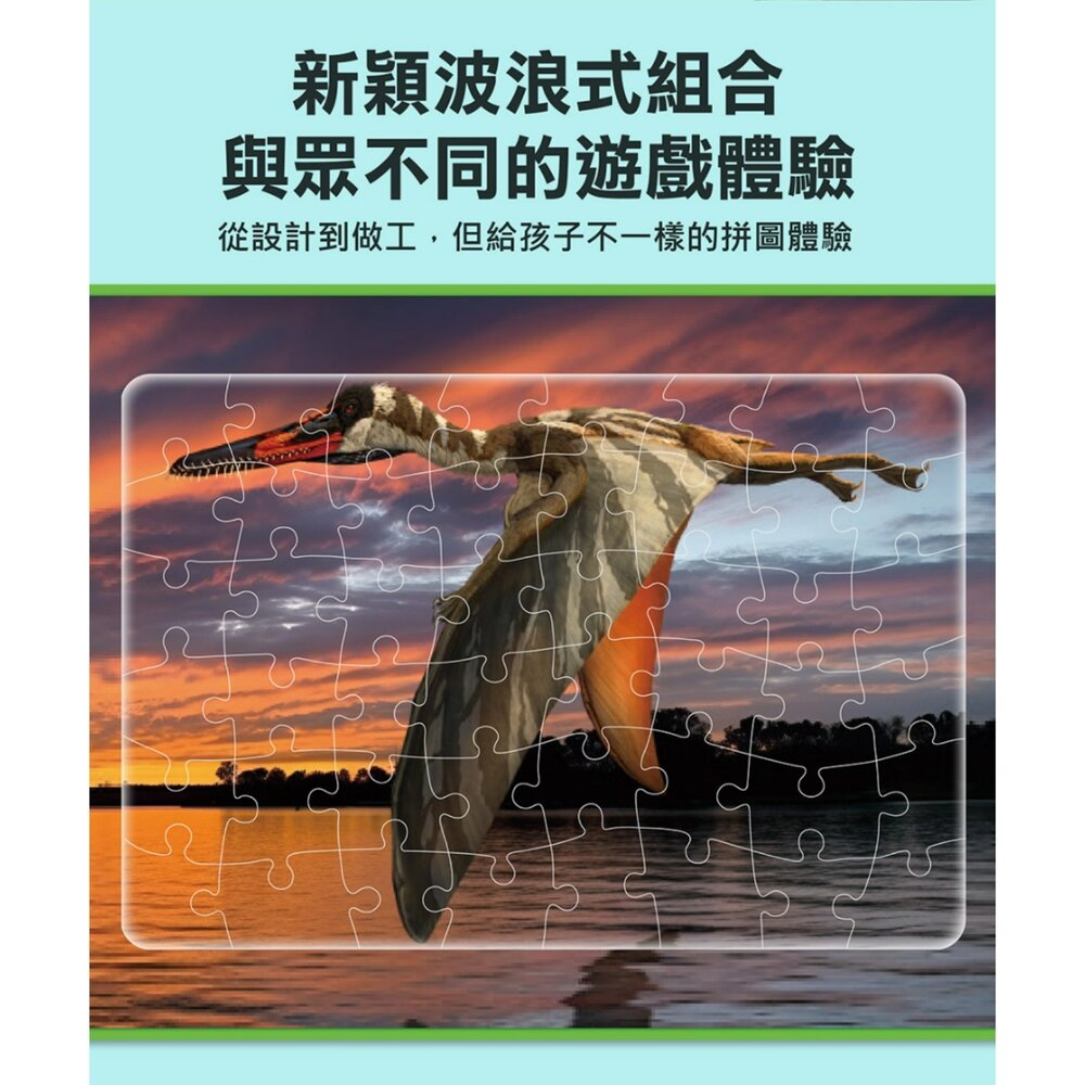媽媽買 PNSO百科拼圖 風車圖書 恐龍拼圖書 翼龍拼圖 PNSO恐龍 恐龍百科拼圖 翼龍知識拼圖 恐龍益智拼圖書 兒童-圖片-4