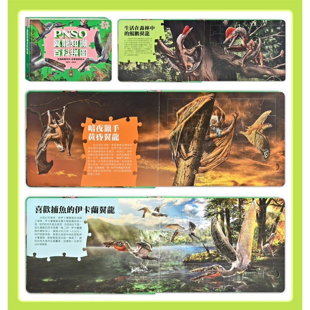 媽媽買 PNSO百科拼圖 風車圖書 恐龍拼圖書 翼龍拼圖 PNSO恐龍 恐龍百科拼圖 翼龍知識拼圖 恐龍益智拼圖書 兒童-圖片-7