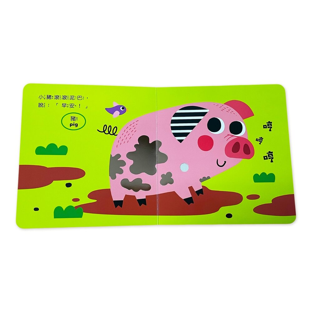 媽媽買 寶貝觸覺聽聽書 京采文教 觸覺書 音效書 聲音書 幼兒繪本 啟蒙書 親子共讀 感官發展 語言學習 早教玩-圖片-6