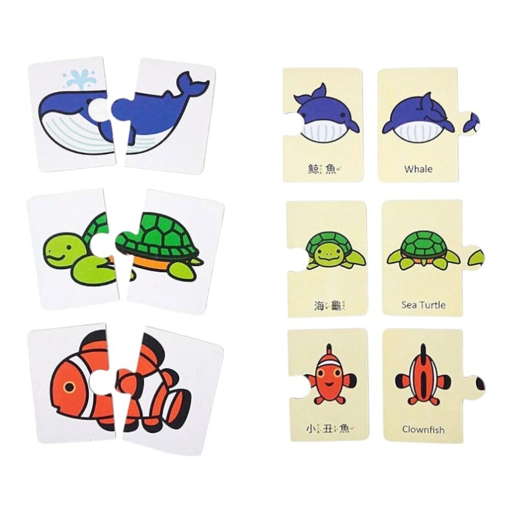 媽媽買 育智配對圖卡 球球館 中英雙語圖卡 幼兒啟蒙玩具 認知記憶遊戲 幼兒拼圖卡 早教啟蒙教具 親子互動遊戲 益智圖卡-圖片-3
