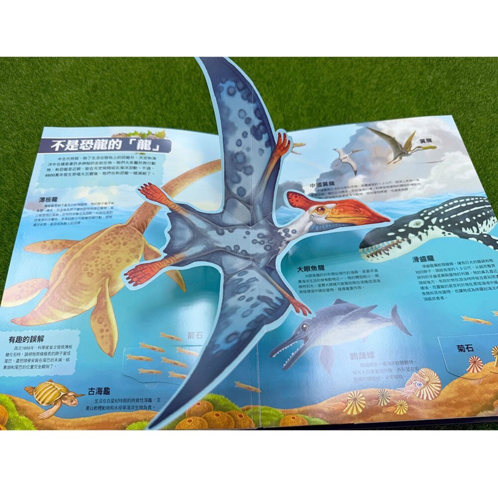 媽媽買 大知識大百科3D立體書 大恐龍 幼福 超大開本翻翻書 60種恐龍 立體機關百科 親子共讀-圖片-2