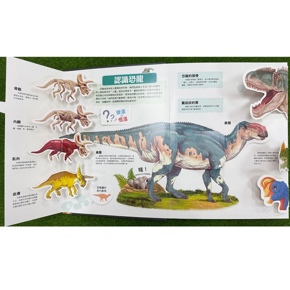 媽媽買 大知識大百科3D立體書 大恐龍 幼福 超大開本翻翻書 60種恐龍 立體機關百科 親子共讀-圖片-3