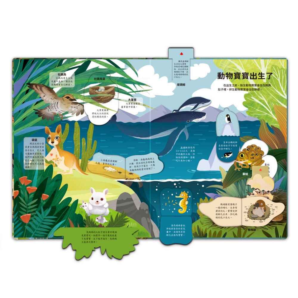 神奇的動物百科立體翻翻書 風車圖書 80+互動機關 推拉翻轉3D立體書 動物百科 幼兒啟蒙 親子共讀-圖片-1