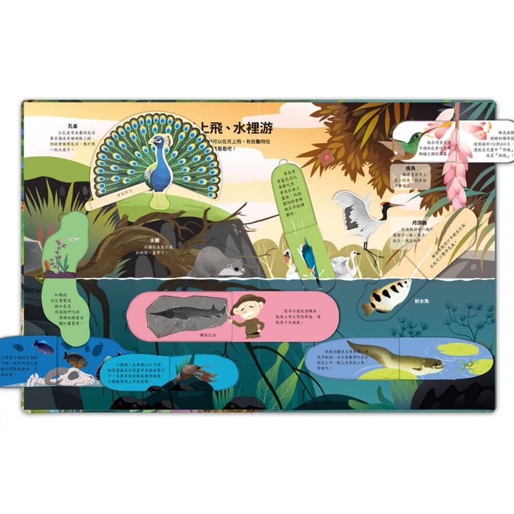 神奇的動物百科立體翻翻書 風車圖書 80+互動機關 推拉翻轉3D立體書 動物百科 幼兒啟蒙 親子共讀-圖片-2