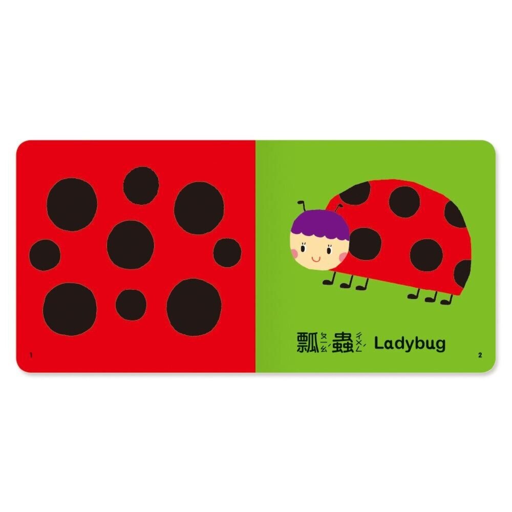 媽媽買 感官觸摸書 世一文化 觸摸書 厚紙書 幼兒啟蒙書 中英雙語書 立體觸摸書 啟蒙認知書-圖片-6