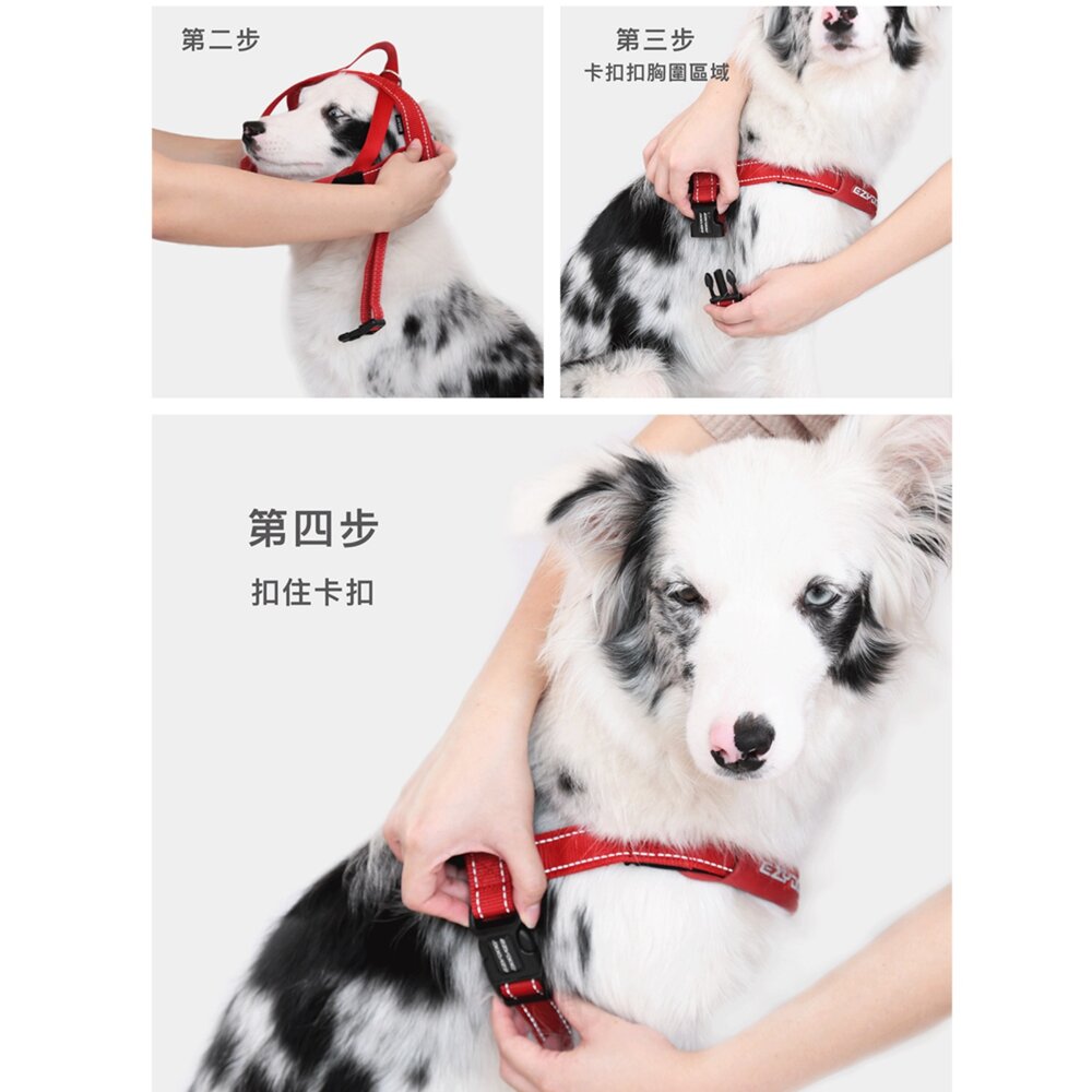 EZYDOG 澳洲 快套式胸背帶 寵物外出胸背帶 柔軟的佳績布製成 外出用品毛掌櫃寵物店-圖片-10