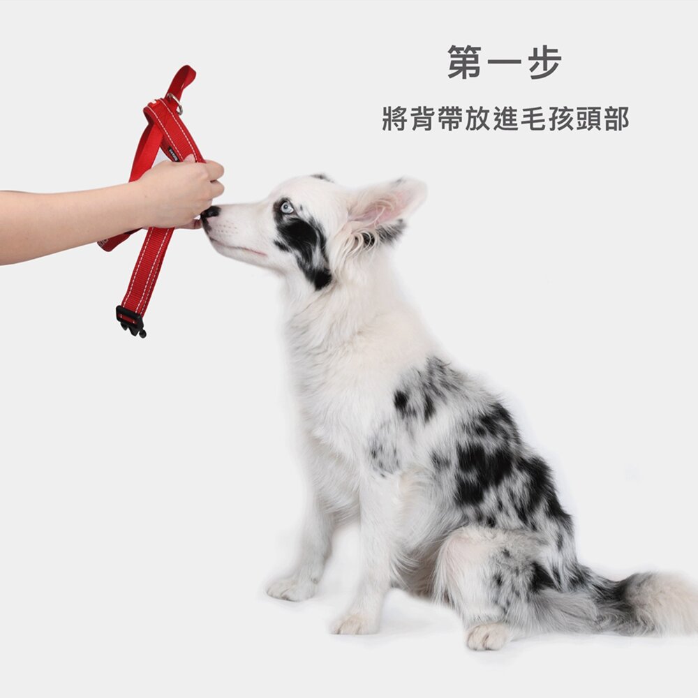 EZYDOG 澳洲 快套式胸背帶 寵物外出胸背帶 柔軟的佳績布製成 外出用品毛掌櫃寵物店-圖片-9