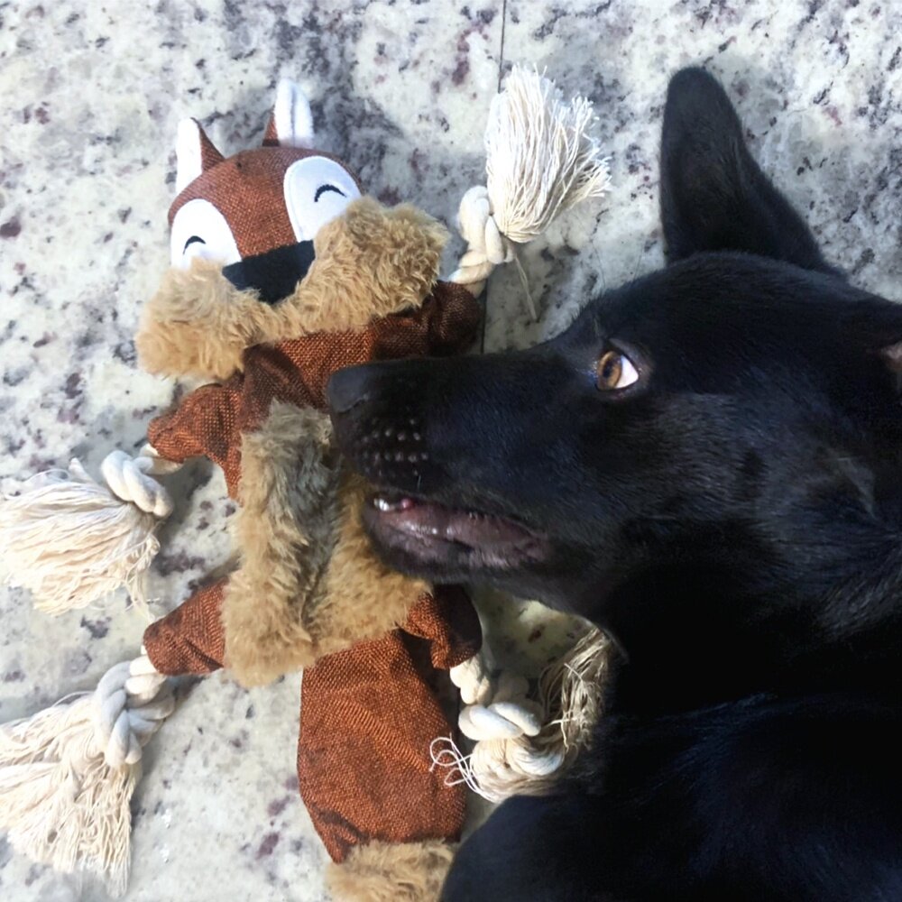 森林小動物-毛絨發聲磨牙寵物玩具 狗玩具 拉扯玩具 響紙 狗玩具毛掌櫃寵物店-圖片-1