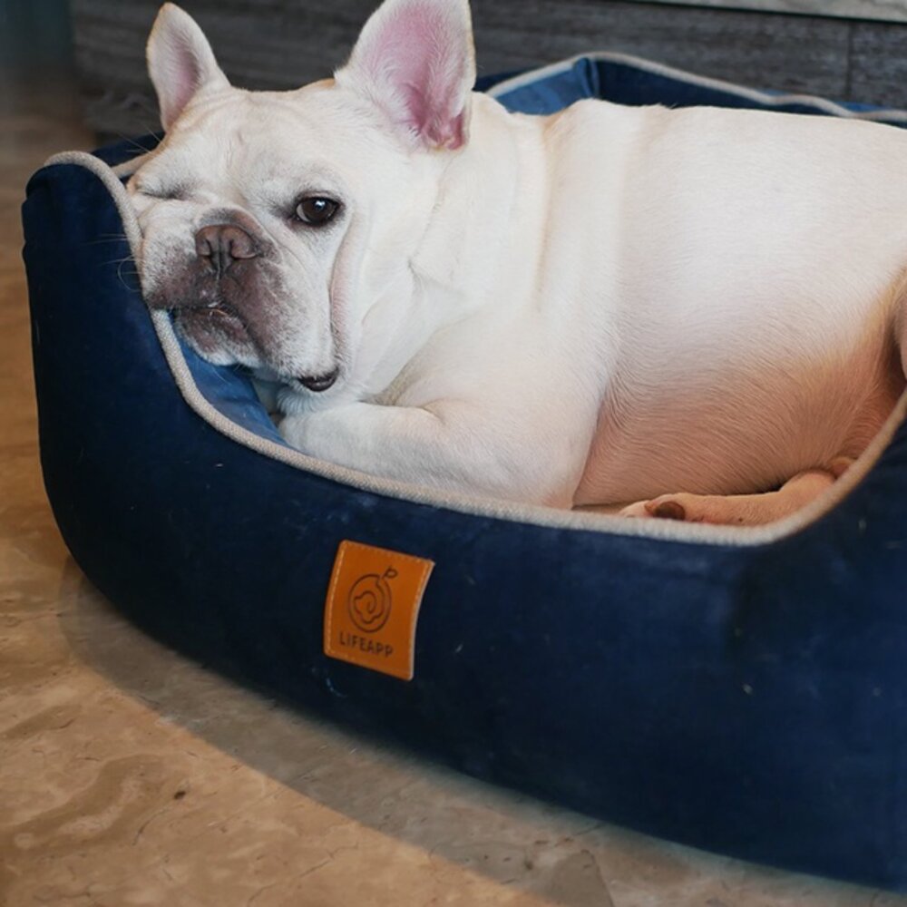 10826586454-寵物床墊 Lifeapp-寵物緩壓睡墊 狗貓睡墊 居家用品毛掌櫃寵物店