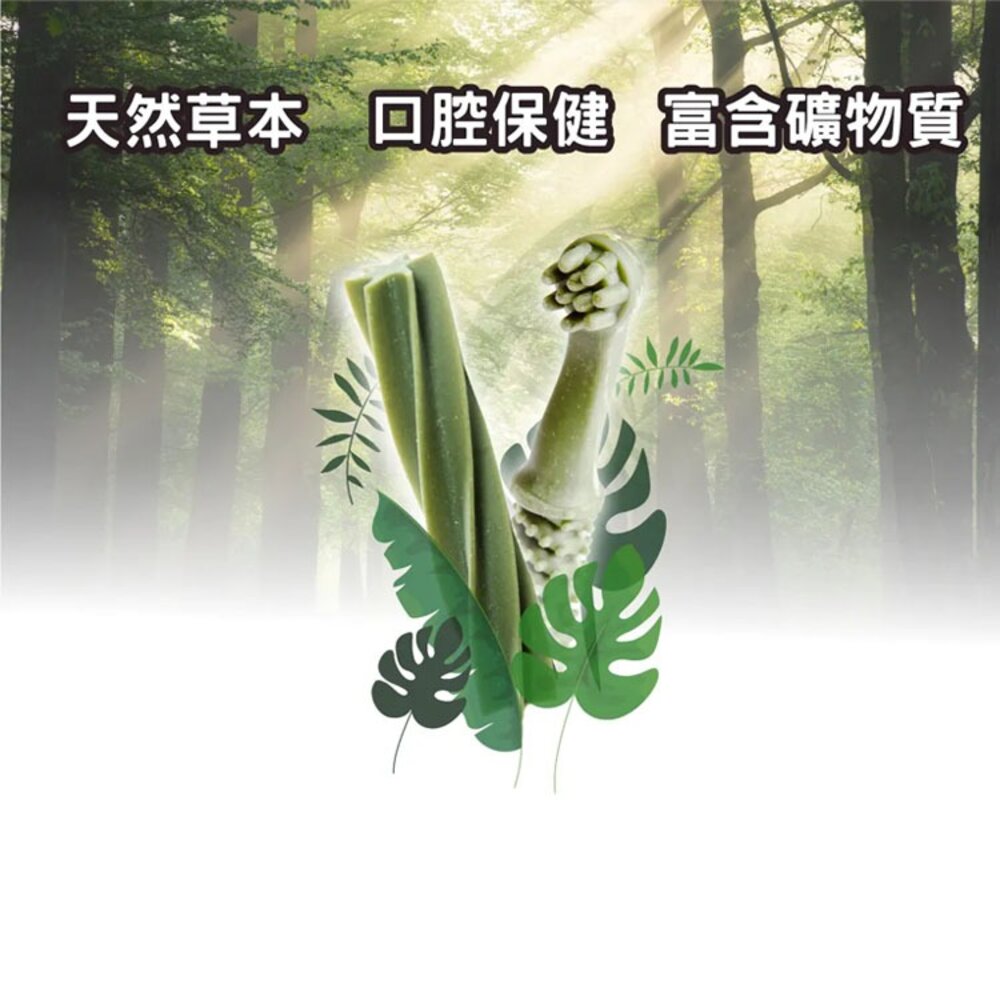 買1送2贈品 Boneplus 魔法村 潔牙骨 桶裝 耐咬棒 磨牙 狗 狗狗潔牙骨 狗零食毛掌櫃寵物店-圖片-1