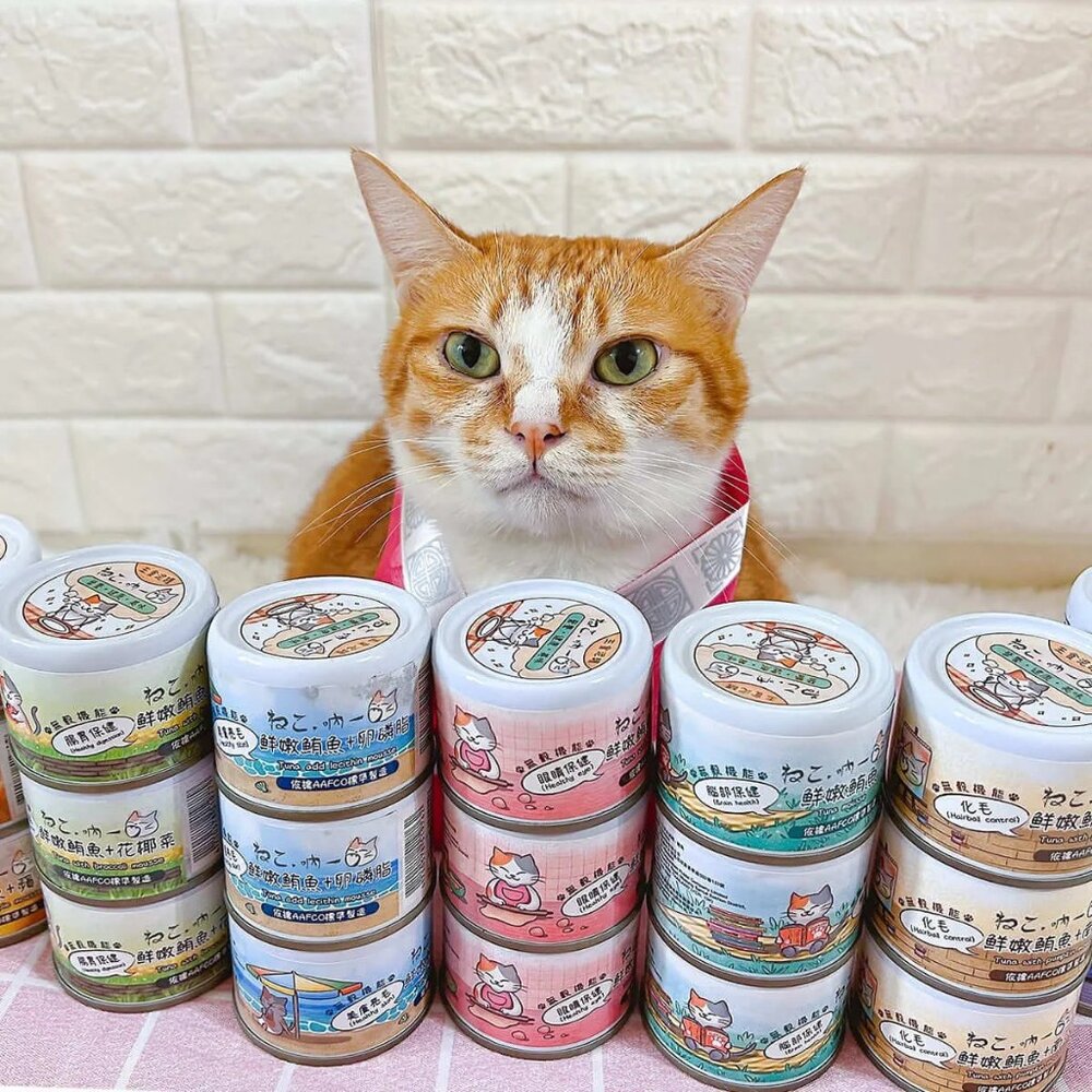 吶一口 貓主食罐 無穀貓湯罐 湯罐 貓罐 補水罐 肉泥罐 貓罐頭毛掌櫃寵物店-圖片-3