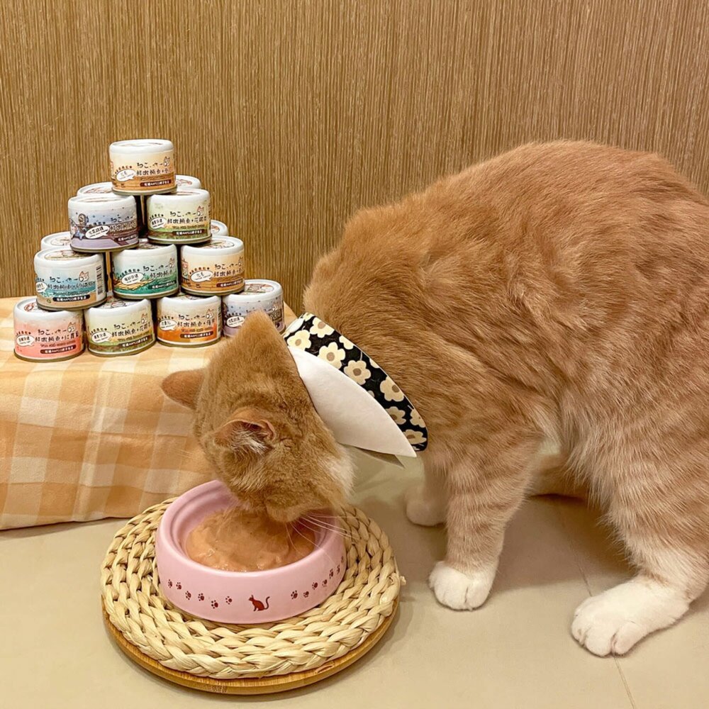 吶一口 貓主食罐 無穀貓湯罐 湯罐 貓罐 補水罐 肉泥罐 貓罐頭毛掌櫃寵物店-圖片-4