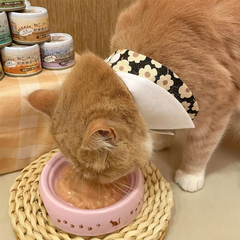 吶一口 貓主食罐 無穀貓湯罐 湯罐 貓罐 補水罐 肉泥罐 貓罐頭毛掌櫃寵物店-圖片-5