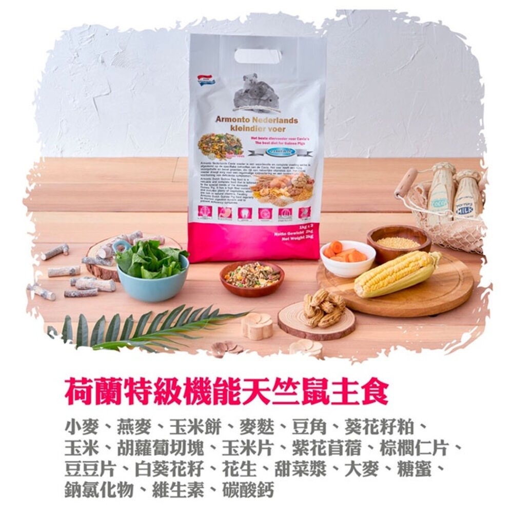 天竺鼠 主食 飼料 鼠 小寵 小動物毛掌櫃寵物店-圖片-2